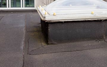 disadvantages of Hutton Le Hole flat roofs